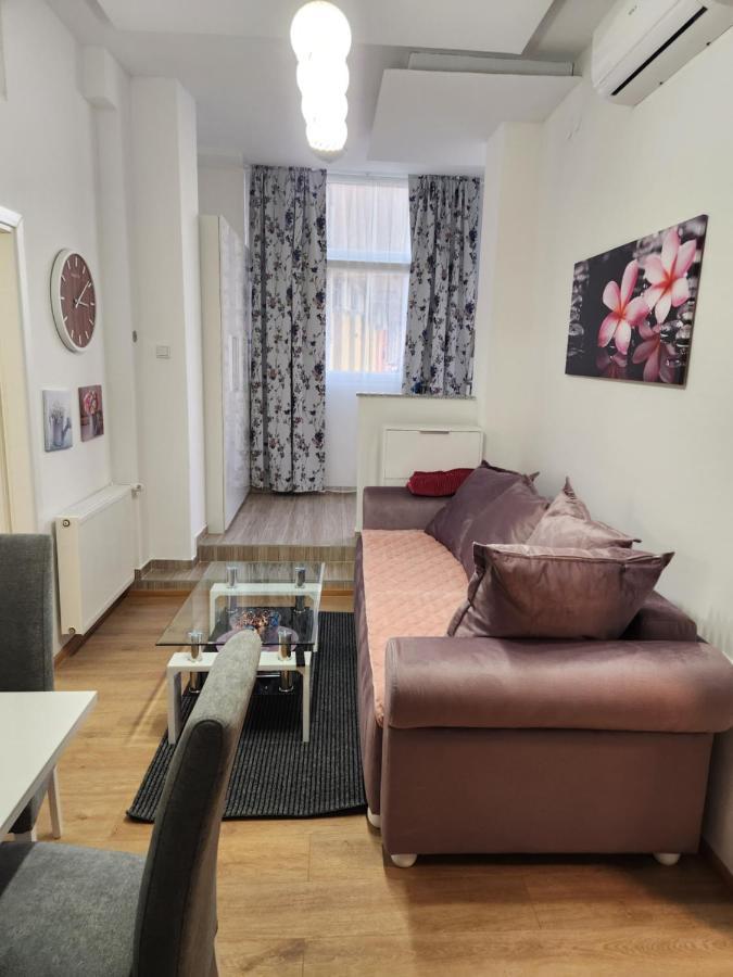 Apartman Zagreb Cca 42M2 With Free Parking Экстерьер фото