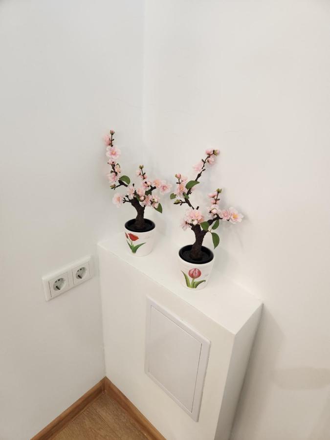 Apartman Zagreb Cca 42M2 With Free Parking Экстерьер фото