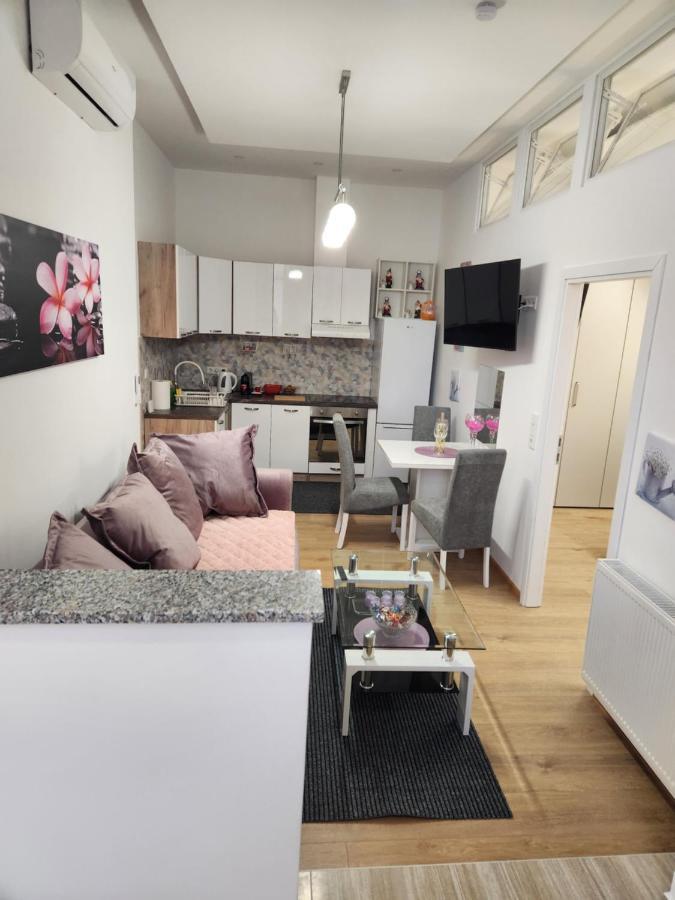 Apartman Zagreb Cca 42M2 With Free Parking Экстерьер фото