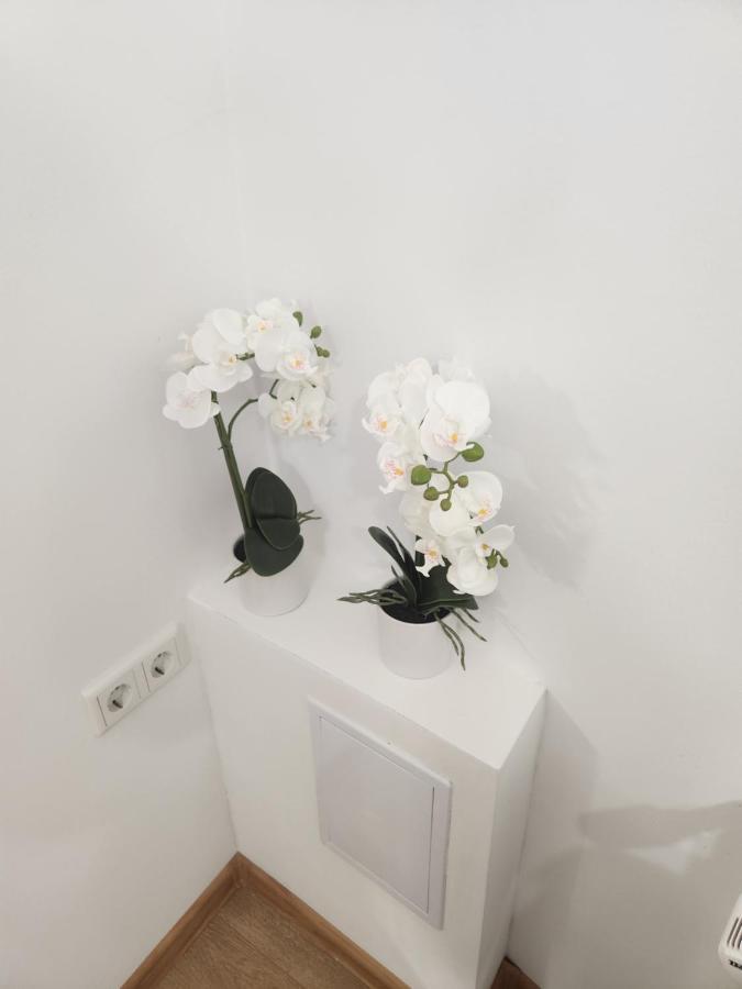 Apartman Zagreb Cca 42M2 With Free Parking Экстерьер фото